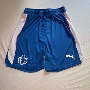 Blue Puma Shorts